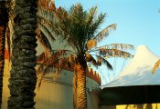 Impressionen
